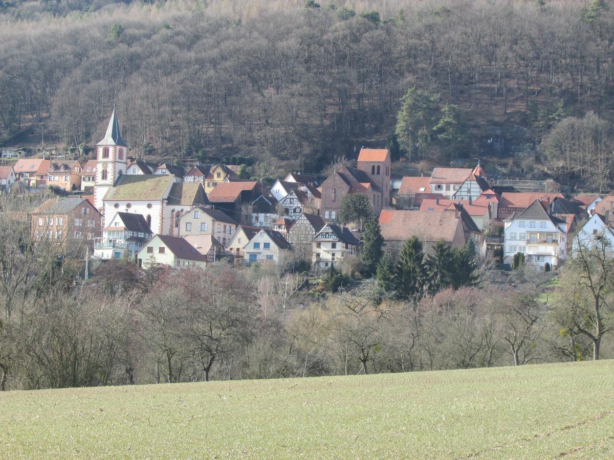 Gite L'Instant Durable Oberbronn Exterior foto